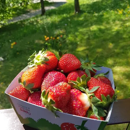 Сasa de vacaciones Maisonnette individuelle dans la vallée de la Meuse