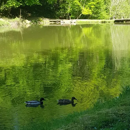 Maisonnette individuelle dans la vallée de la Meuse * Blaimont