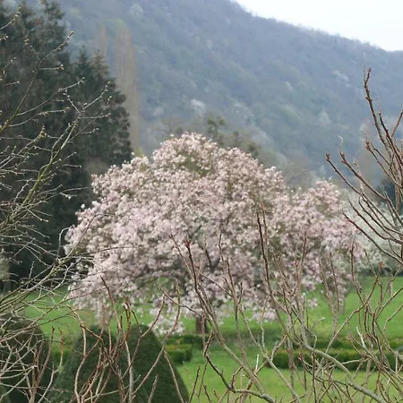Сasa de vacaciones Maisonnette individuelle dans la vallée de la Meuse Blaimont
