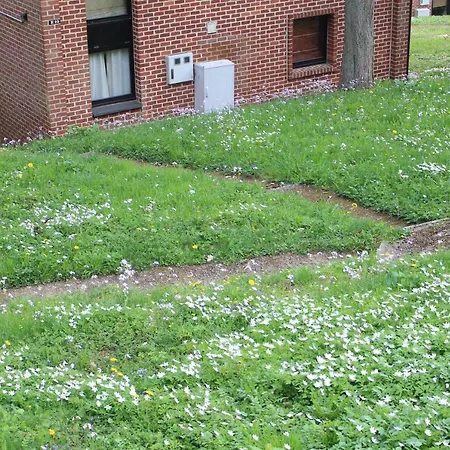 Сasa de vacaciones Maisonnette individuelle dans la vallée de la Meuse Blaimont